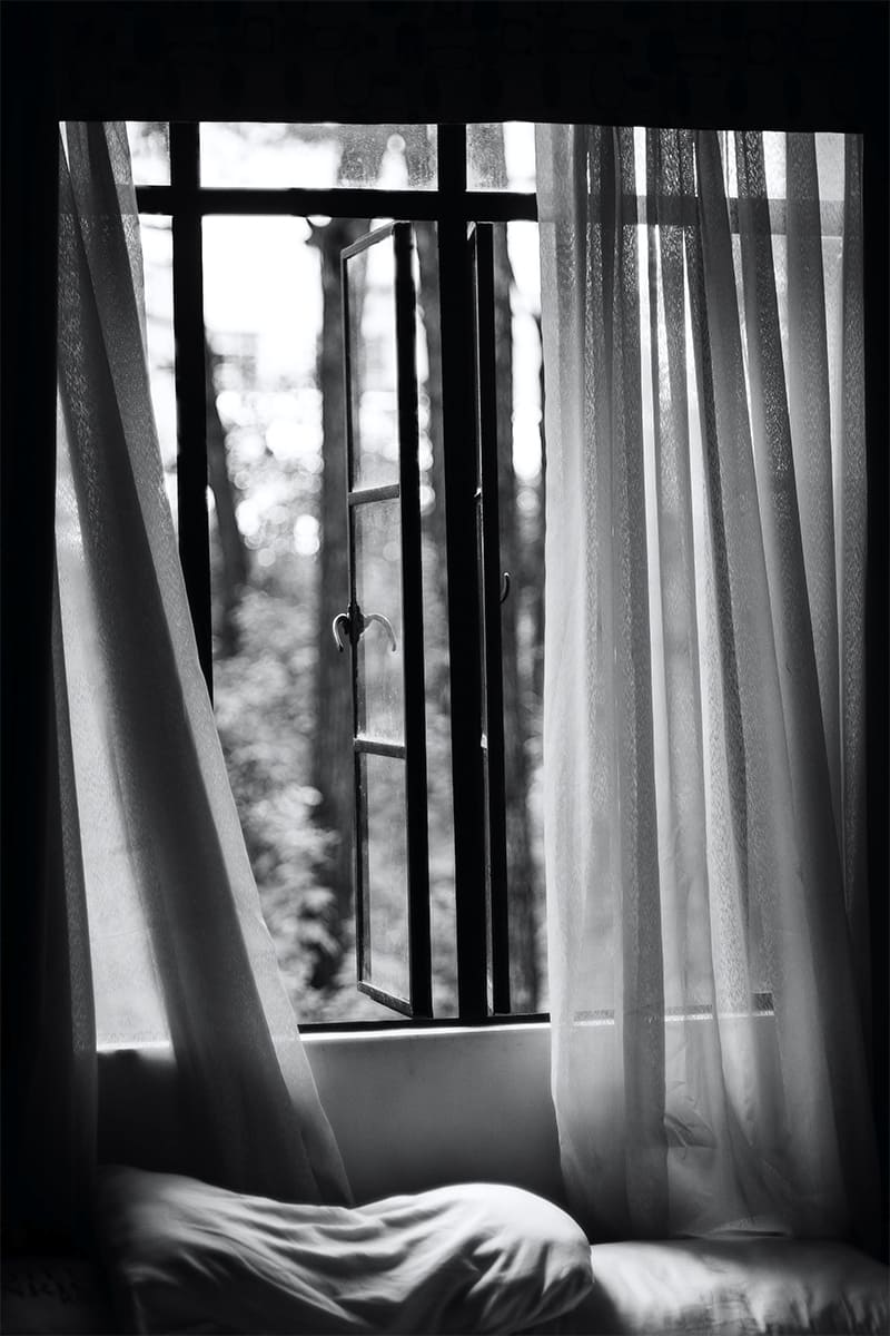 servicios_0009_pexels-nothing-ahead-3233019